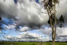 爱游戏：[图]李在成梅开二度 拜仁1-2美因茨遭遇联赛首败.