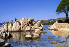 爱游戏：国乒大冷门！陈幸同首局4-11惨败，欧洲冠军连得4分，1-0领先！.